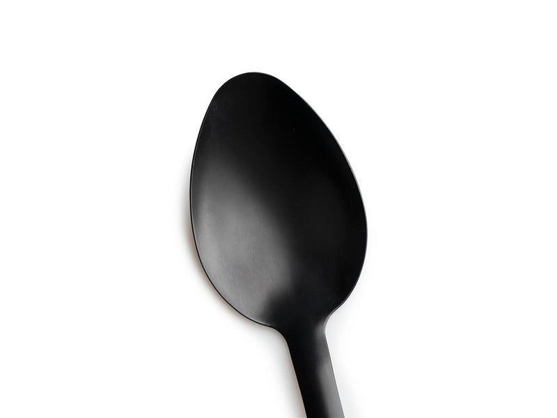 SOLID SPOON