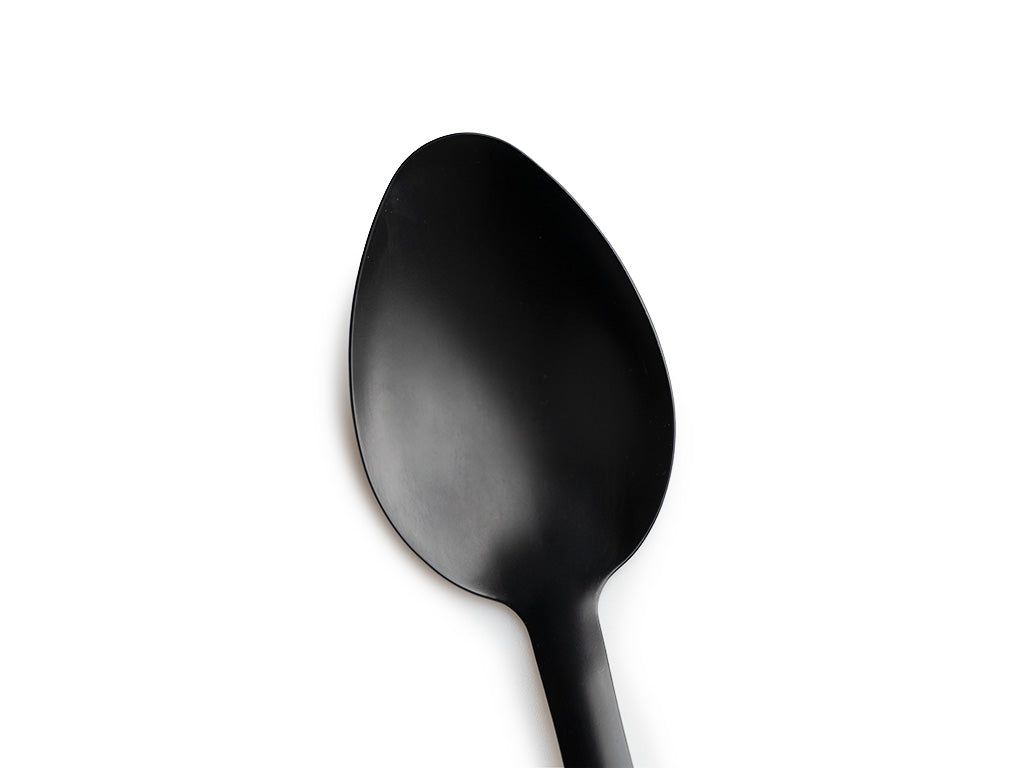 SOLID SPOON