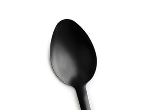 SOLID SPOON