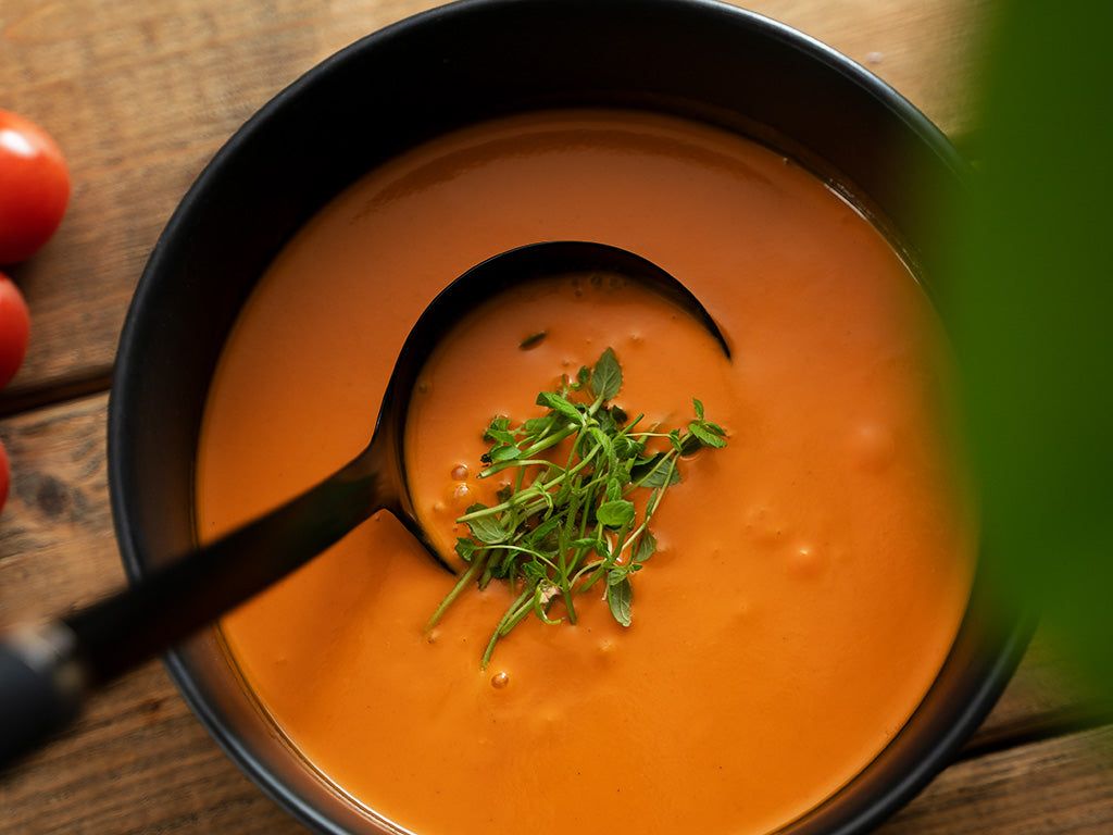 SOUP LADLE