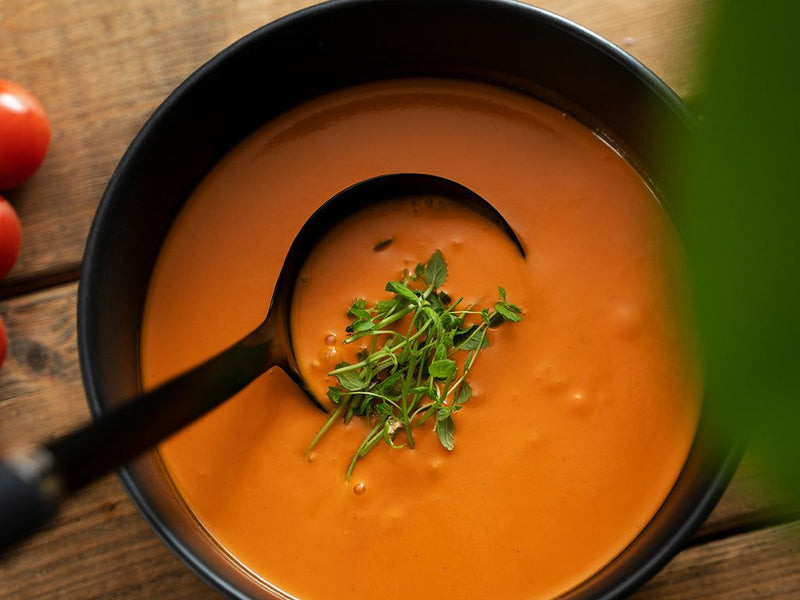 SOUP LADLE